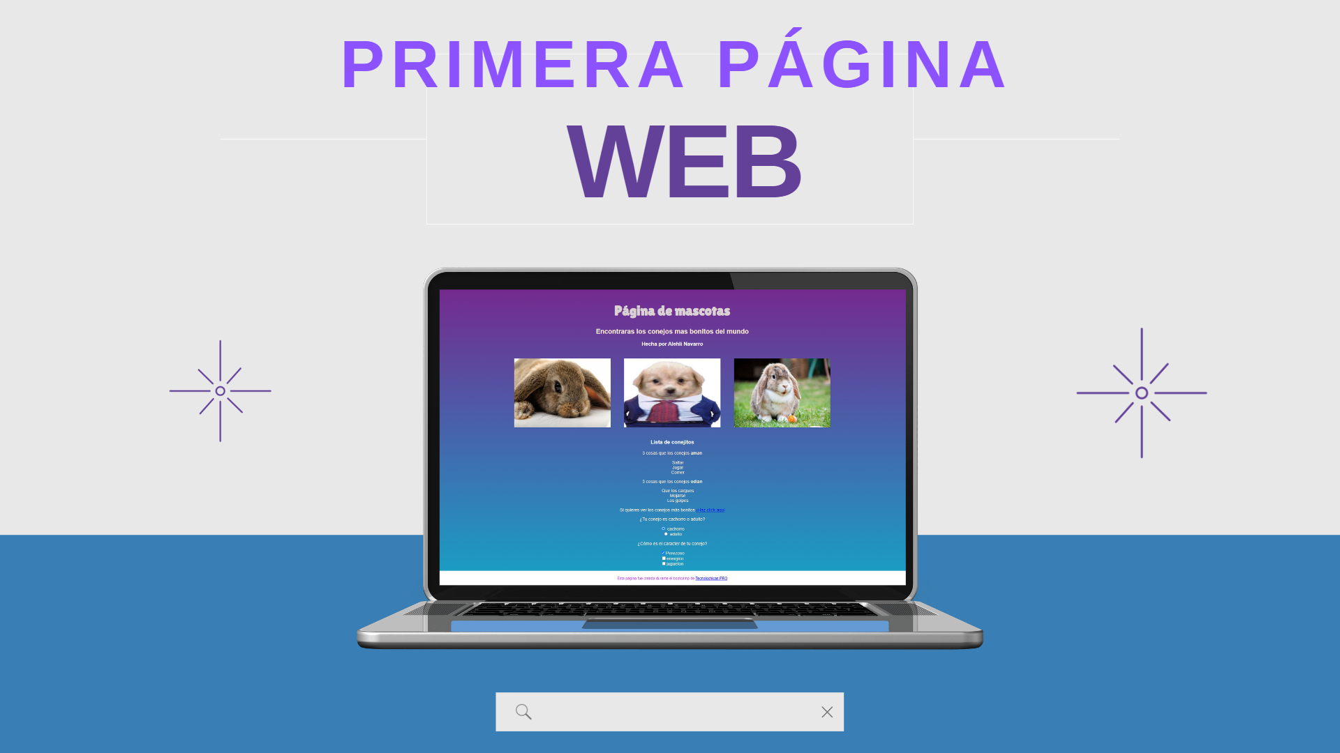 Proyecto 1